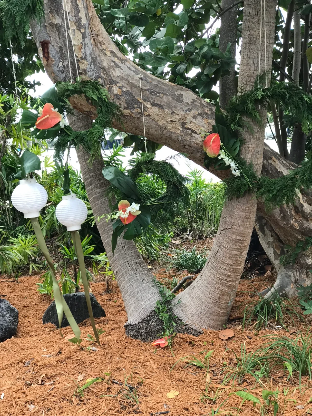 Tropical garden with anthurium garland and white lanterns on tree
