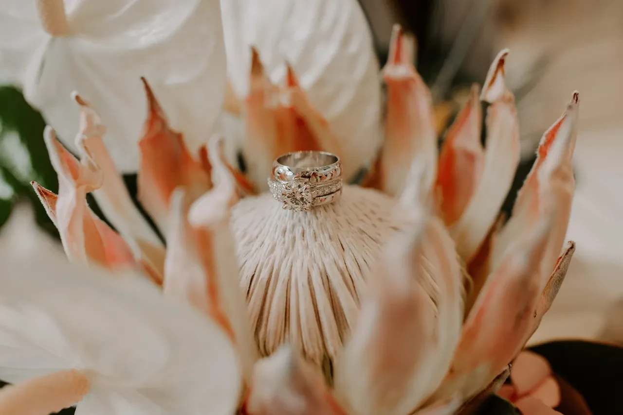Wedding ring on king protea flower