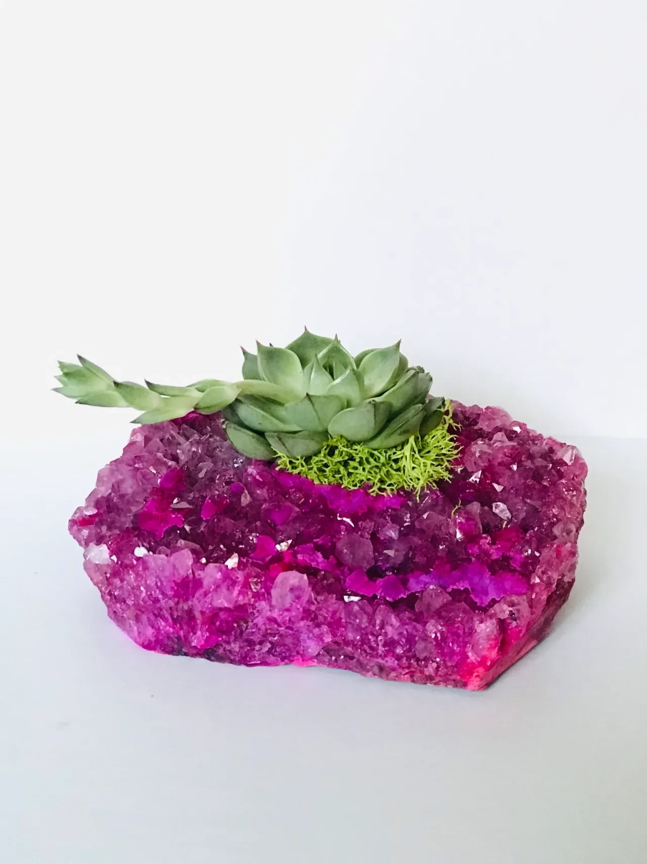 Succulent plant on pink crystal geode planter