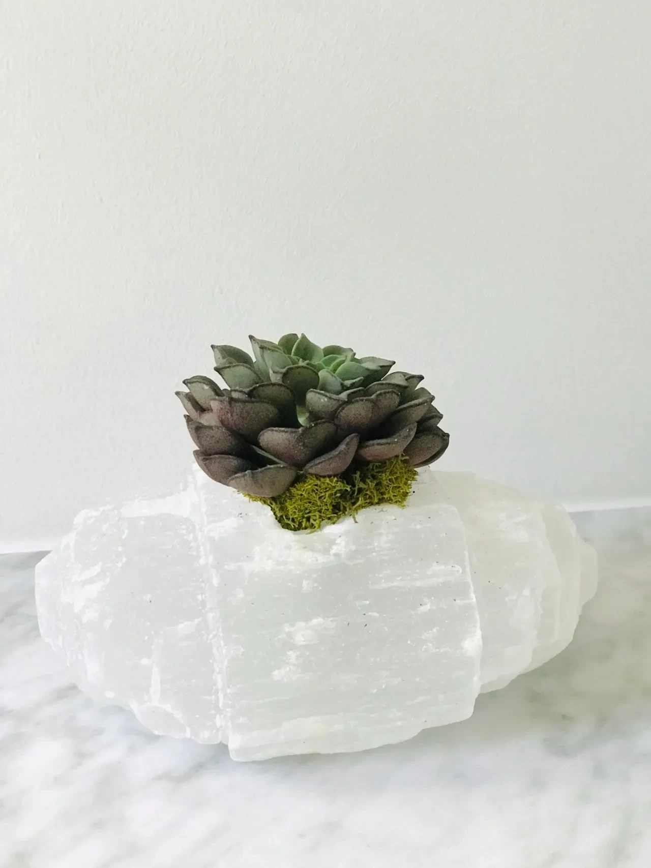 Succulent plant on white selenite crystal planter