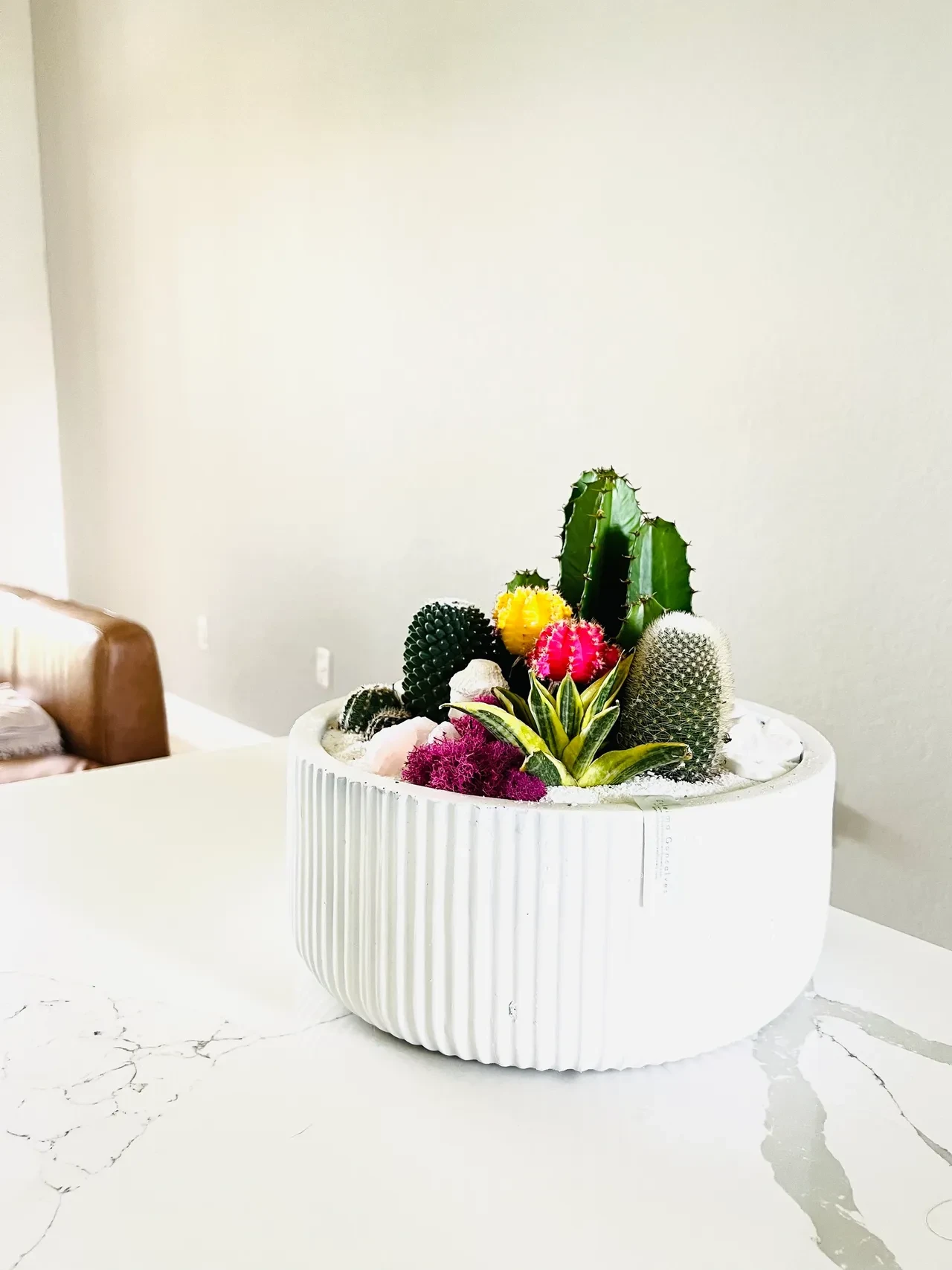 Colorful cacti arrangement in white ceramic pot on marble