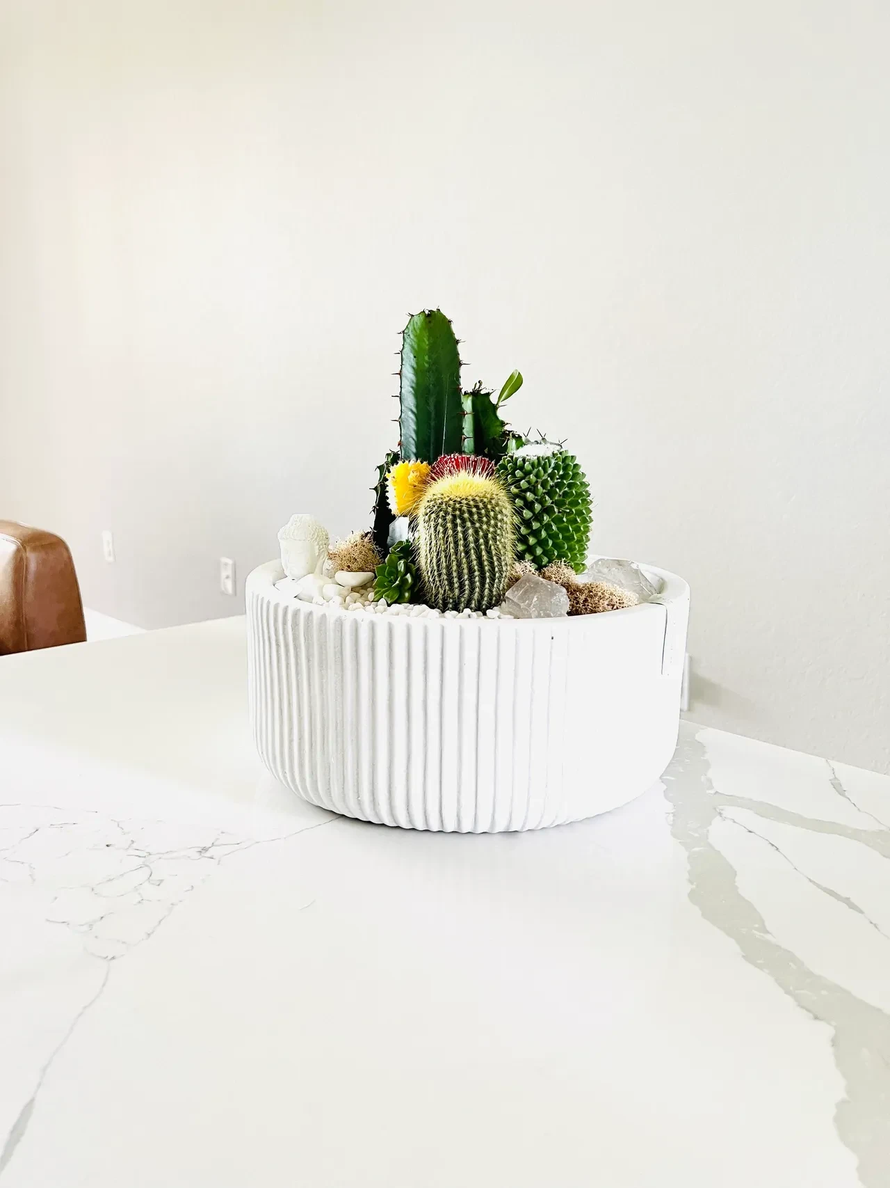 Mixed cactus garden with yellow bloom in white ribbed bowl on marble