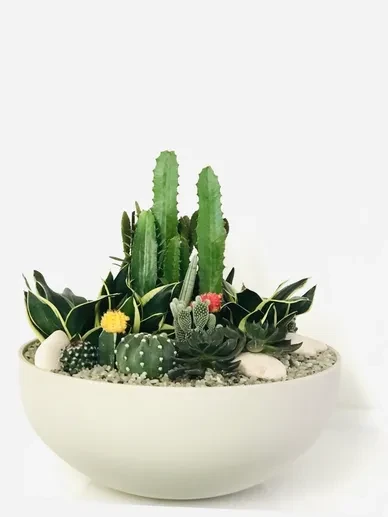 Botanical Art 3