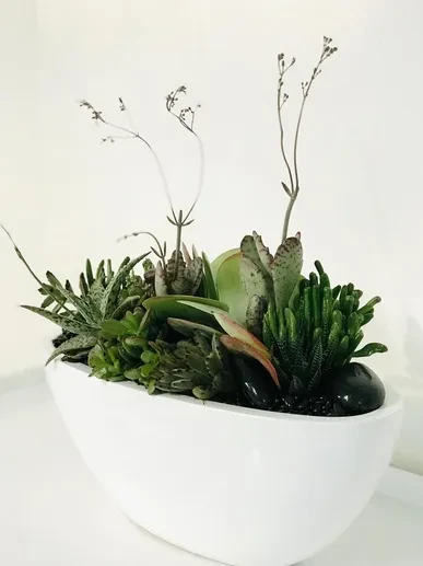 Botanical Art 5