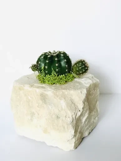 Crystals and Figurines 2