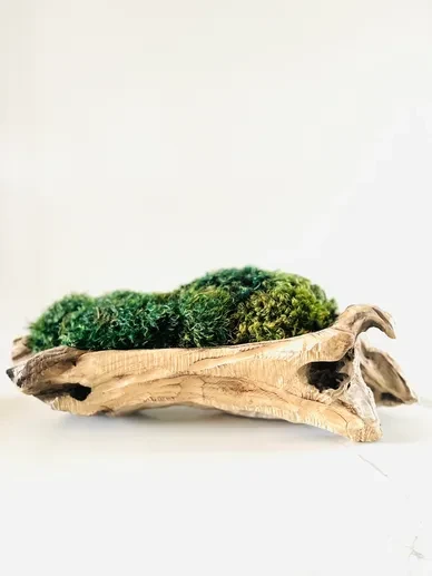 Moss Art 2