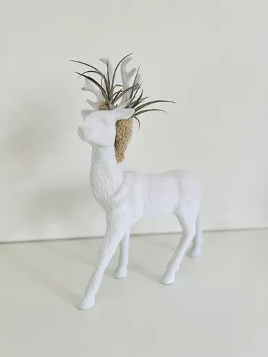 Seasonal Arrangements 5