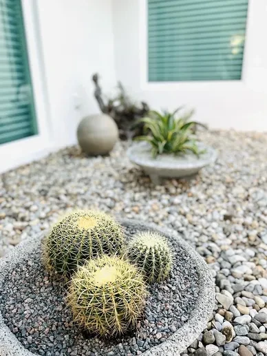 Outdoor Zen Garden 3