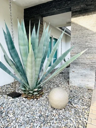 Outdoor Zen Garden 6