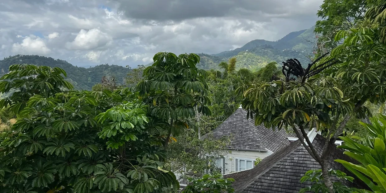 Tropical mountain landscape — botanical inspirations for Blossom Planners